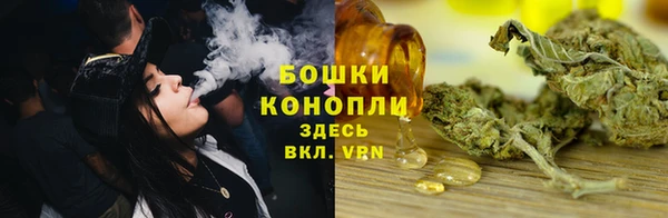 гашик Белоозёрский