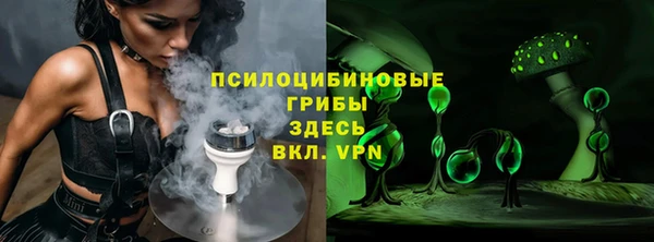 мдпв Белокуриха