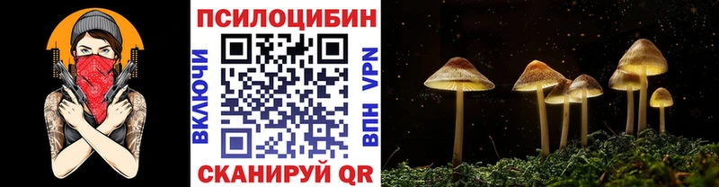 закладки маркетплейс клад omg Псилоцибиновые грибы Psilocybe Кунгур